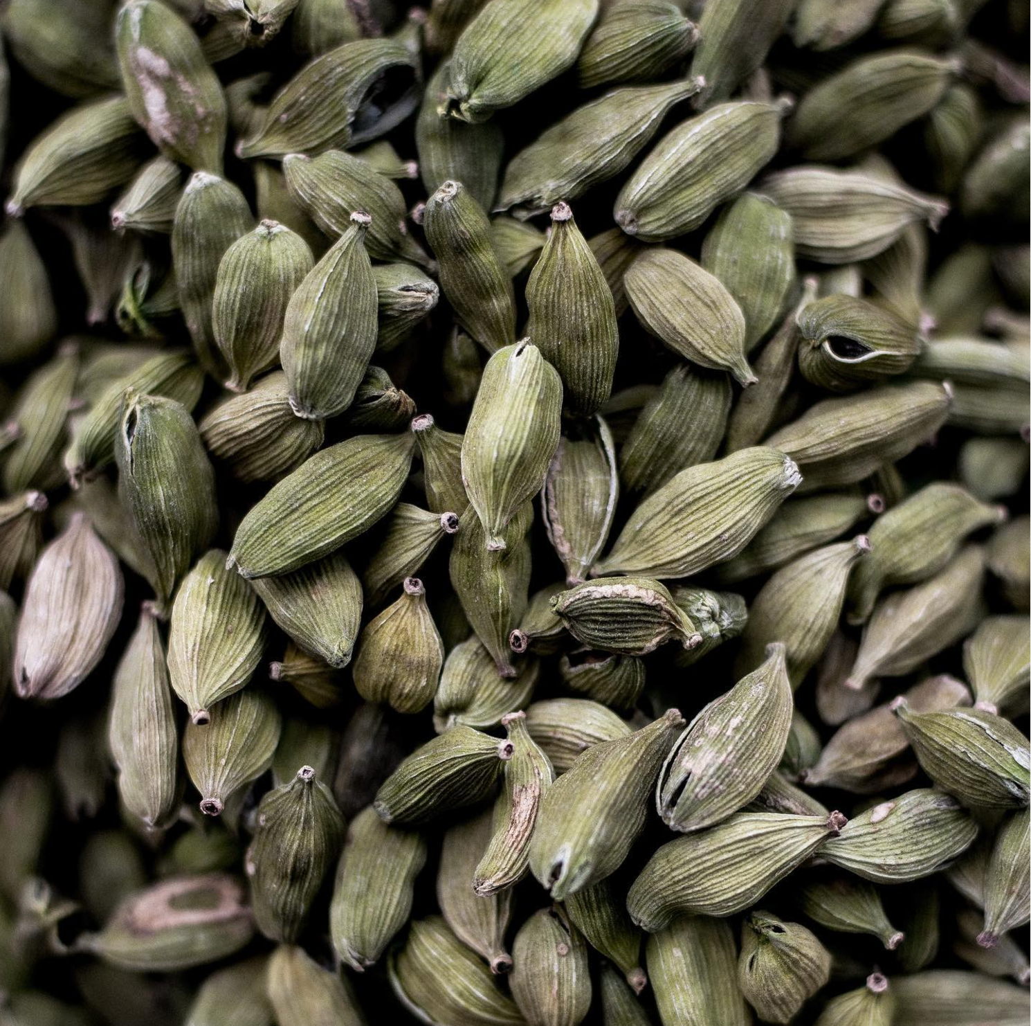 From Earth – Cardamom Kerze